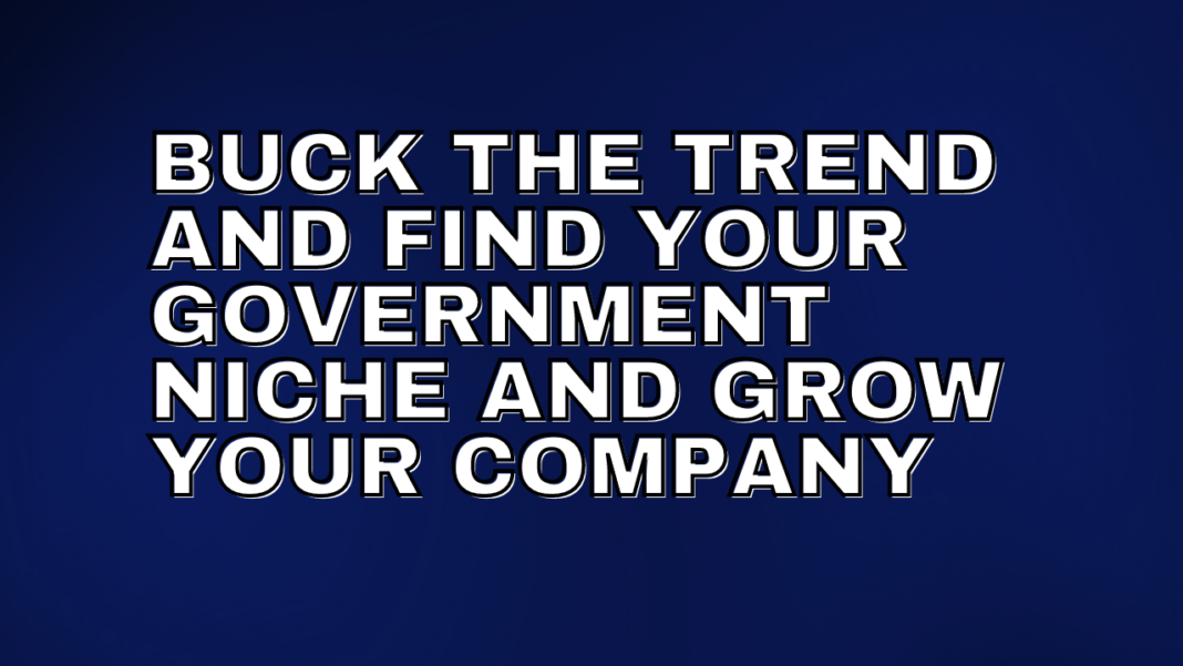 Buck the Trend and Find your Government Niche and Grow your Company