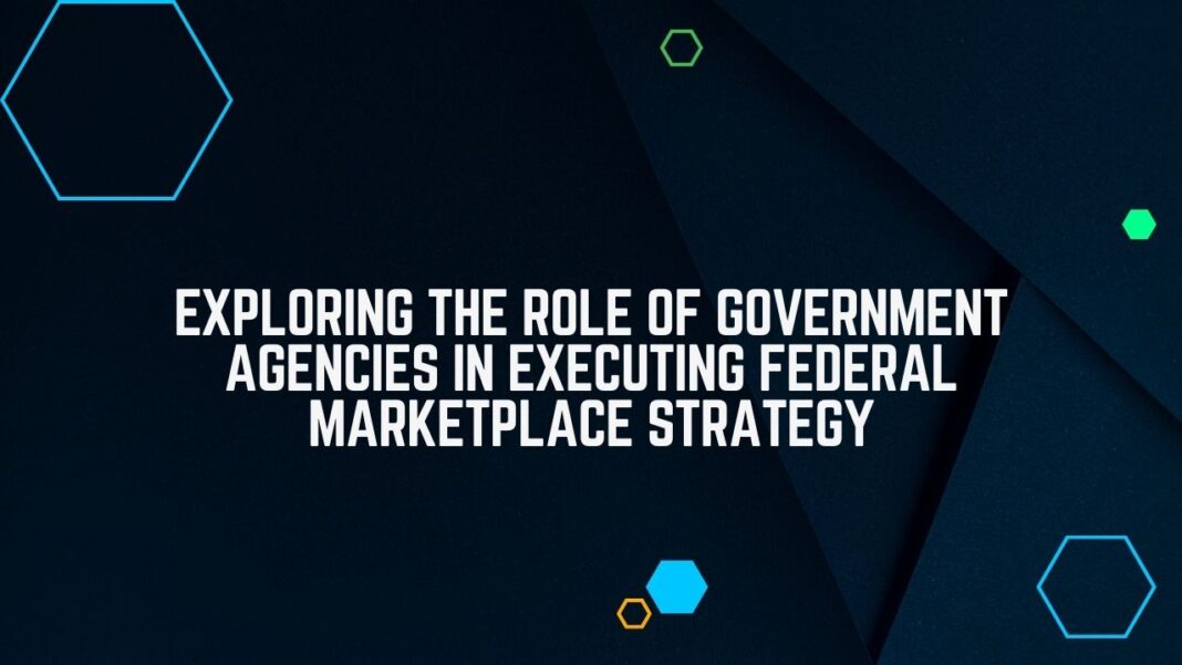 Role of Government Agencies in Executing Federal Marketplace Strategy