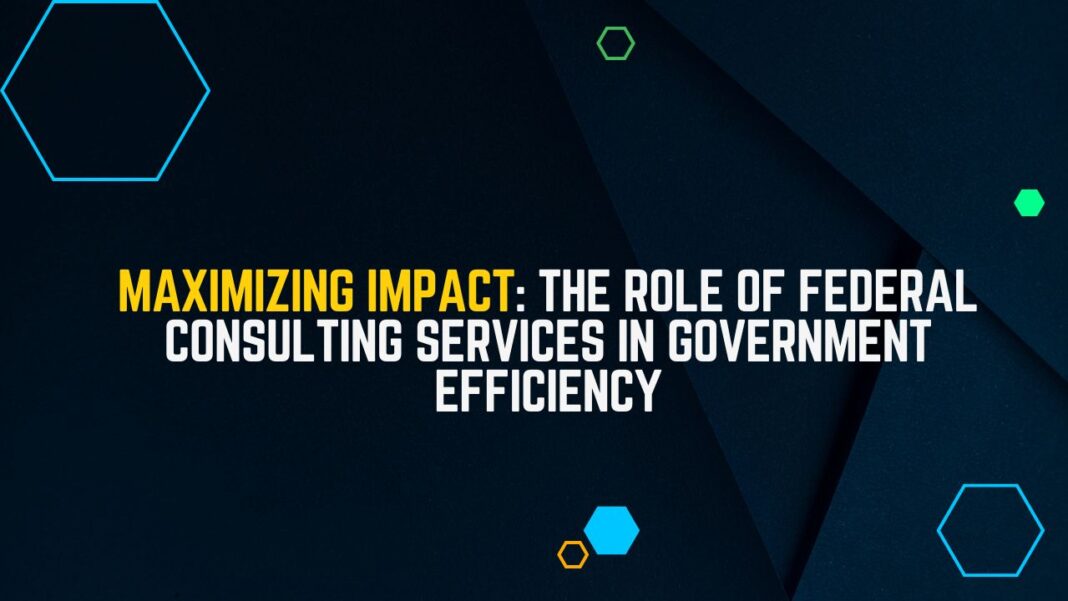 Maximizing Impact The Role of Federal Consulting Services in Government Efficiency